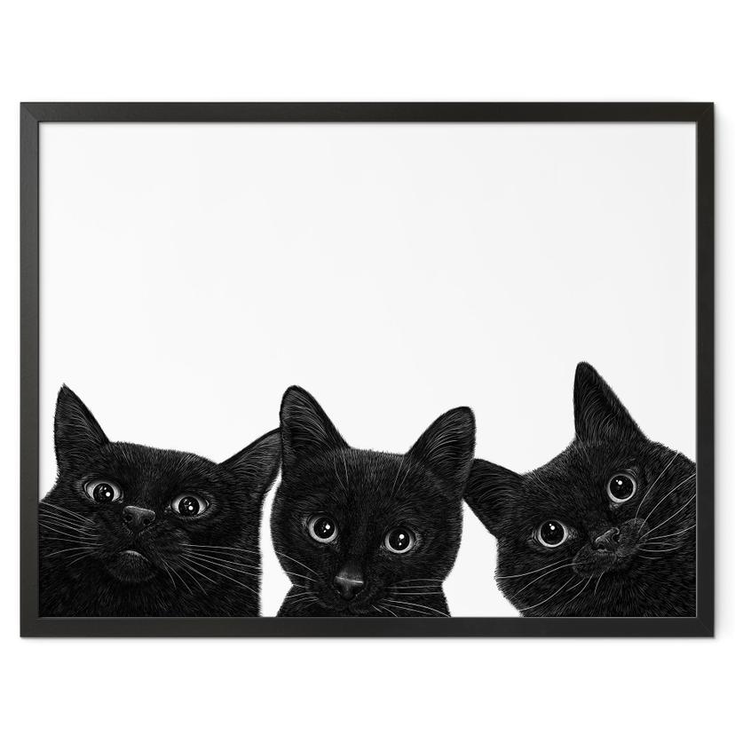 Poster Schwarzes Katzen Trio - Korenkova