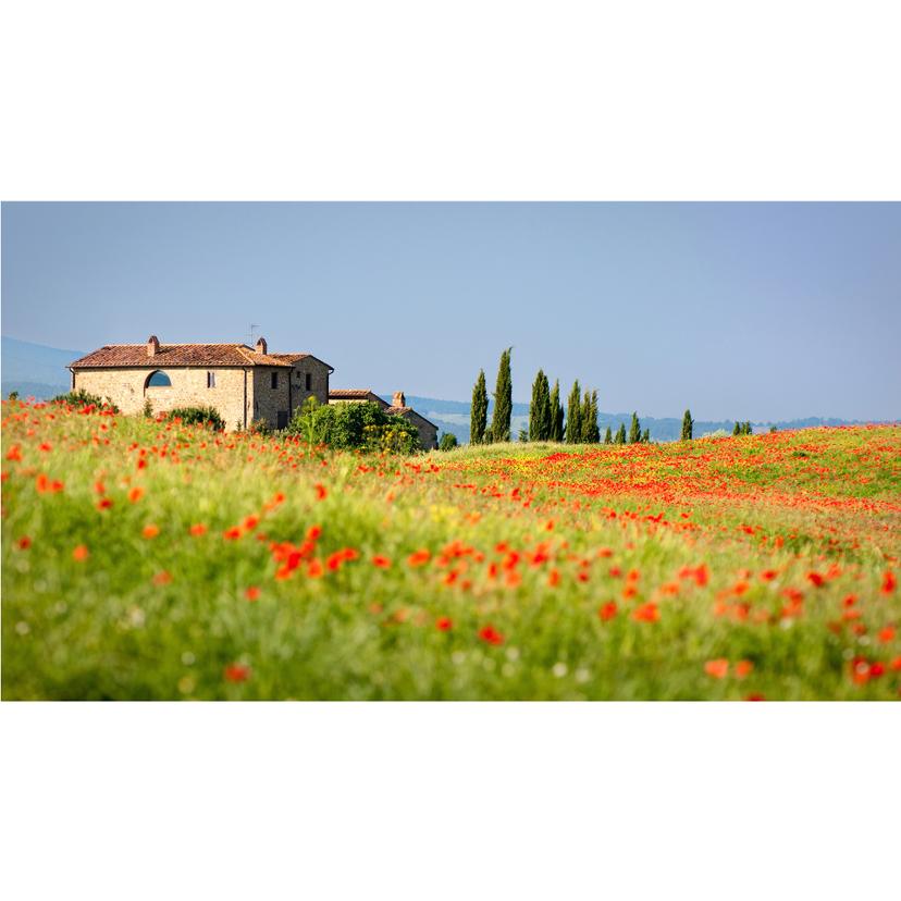 Fotomurale Toscana