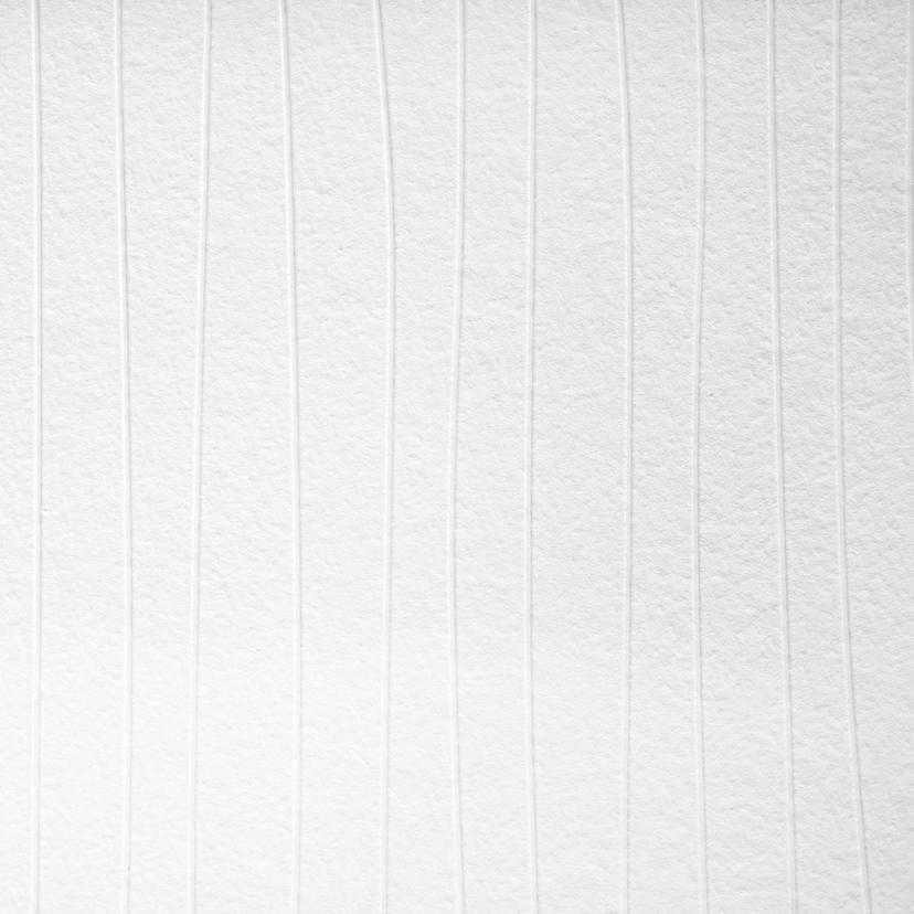 A.S. Création überstreichbare Vliestapete Meisterv