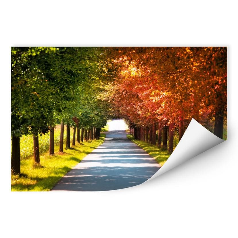 Muurprints Herfst