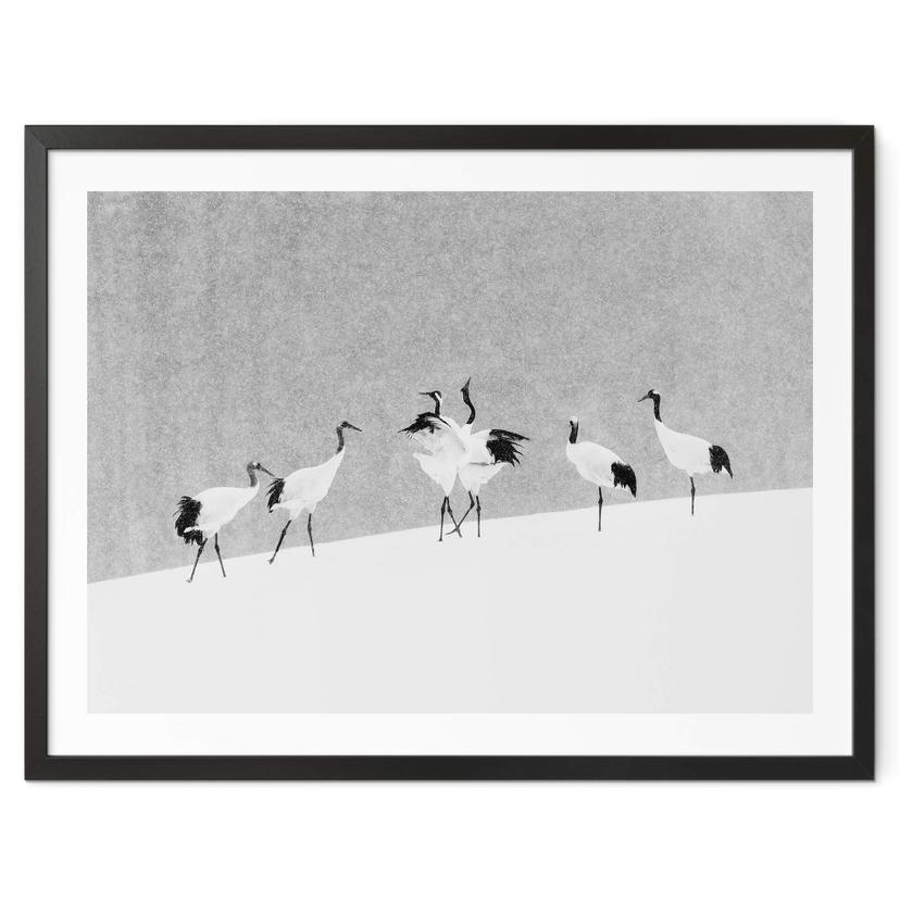Poster Marchegiani - Des grues dans la neige