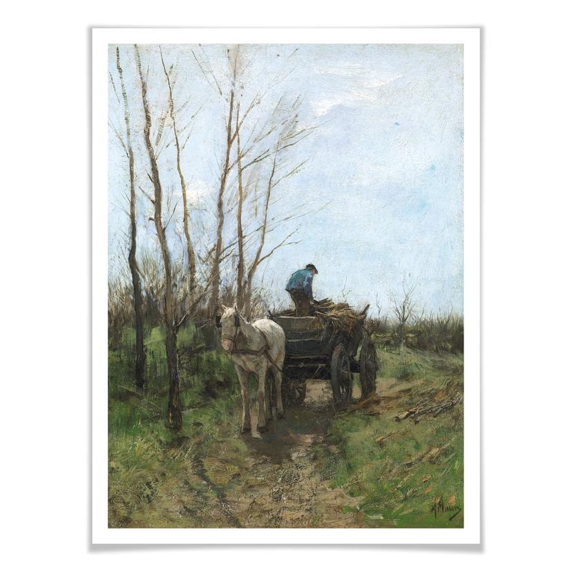 Póster Malva - Madera de colección