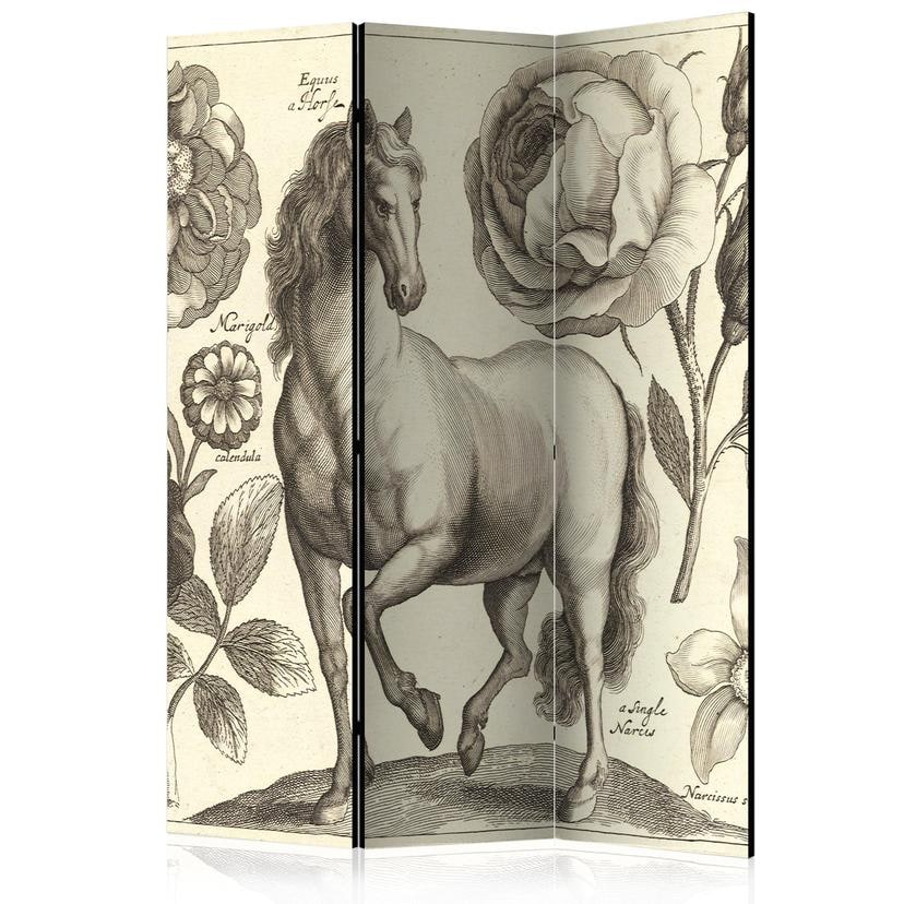 Paravent Séparation de pièce - Cheval, 3 pièces - 135x172 cm