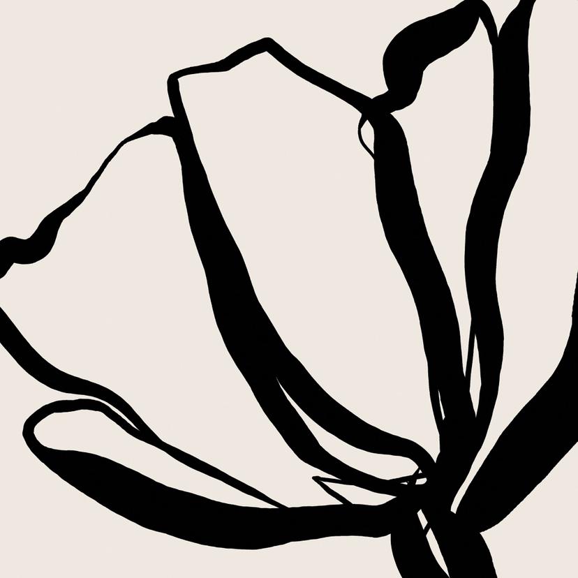 Blommig fototapet Line Art Poppy - Cats & Dotz