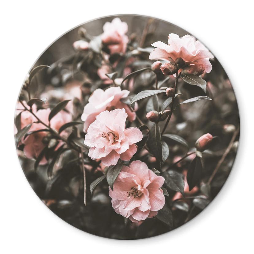 Tableau sur verre Annie - Rosier - Rond