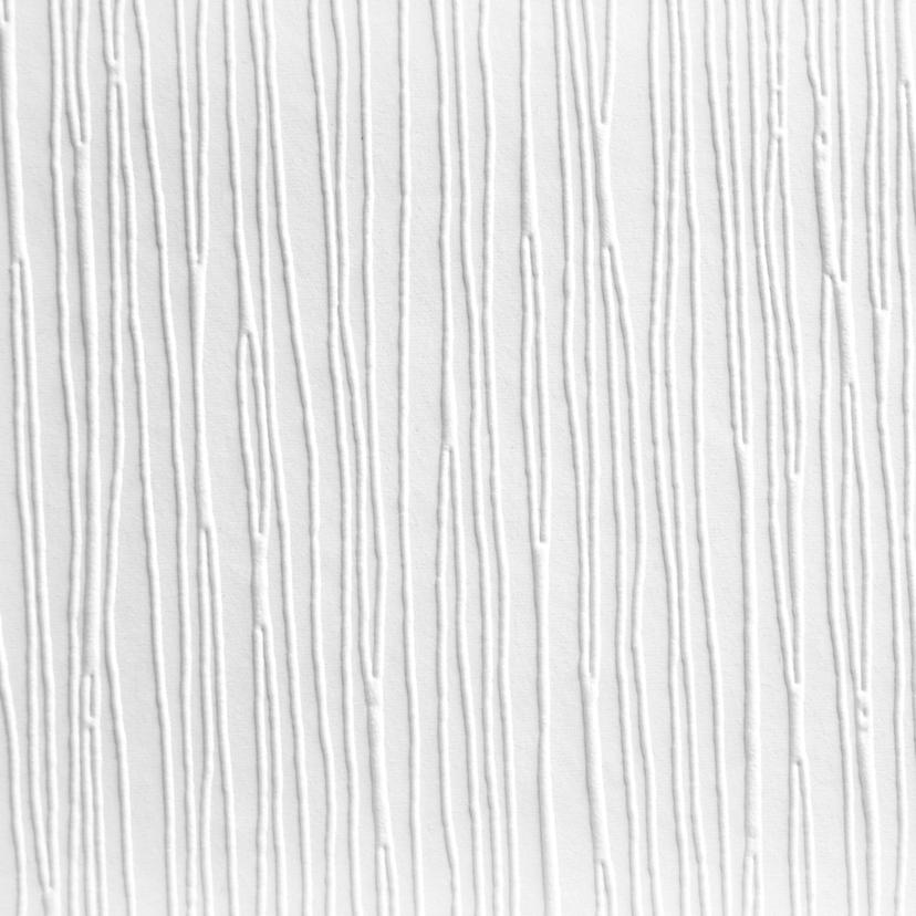 A.S. Création - carta da parati in TNT verniciabile Meistervlies Pro Protect 2 colore bianco