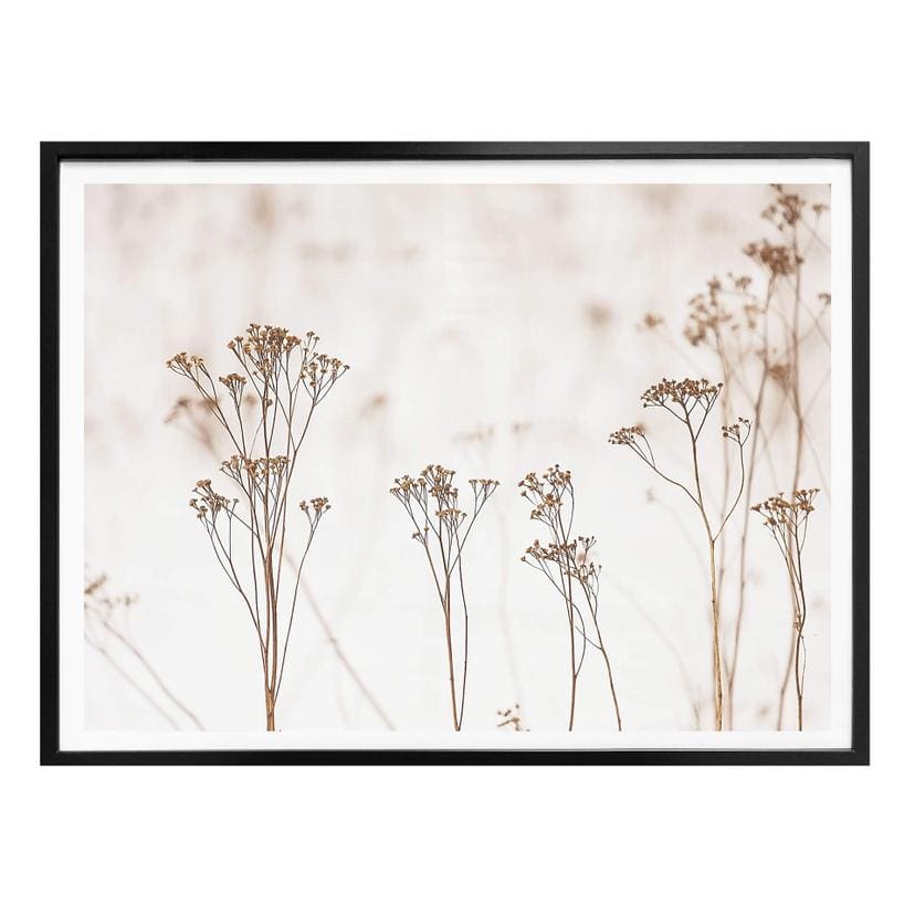 Poster Hautes herbes
