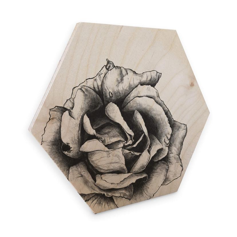 Hexagon Berkenfineer Kools - Thornless