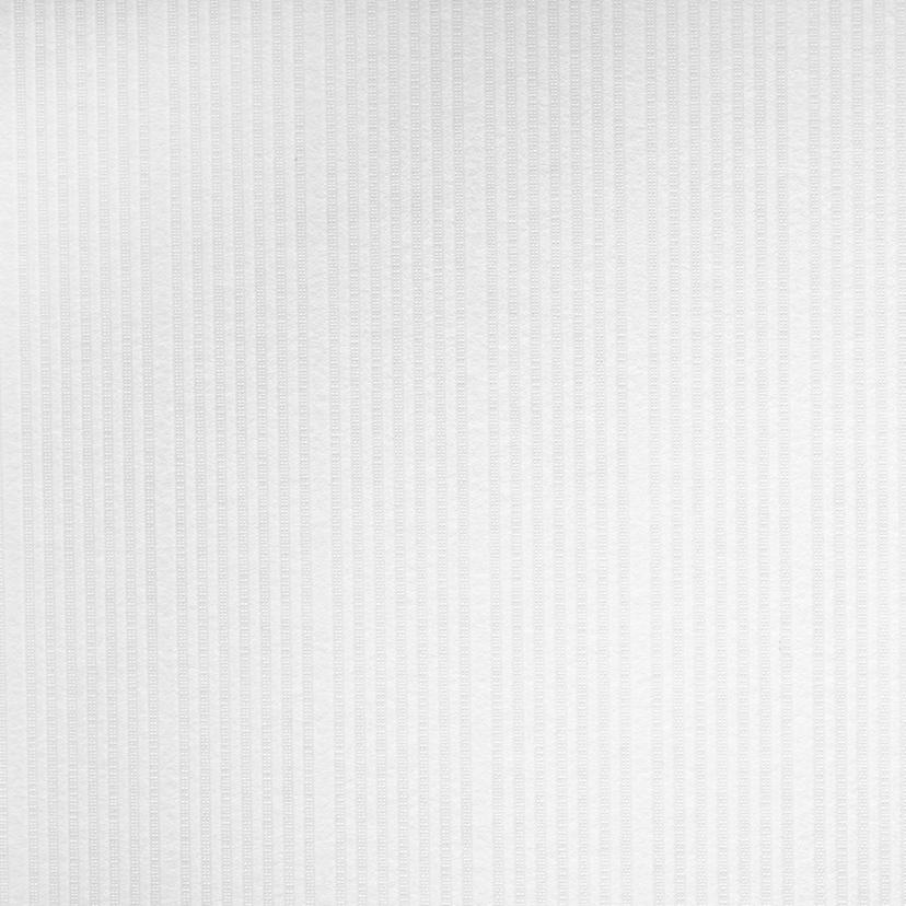 Papier peint intissé couvrant A.S. Création Meistervlies Pro Protect 2 blanc