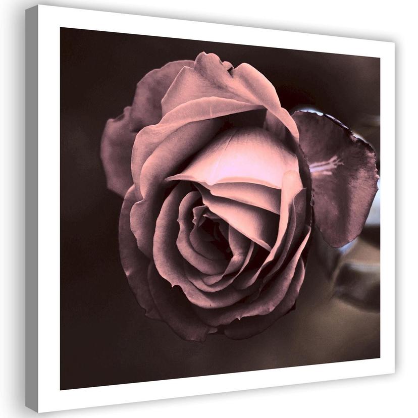 Canvasbillede, Smukke rosenblomster