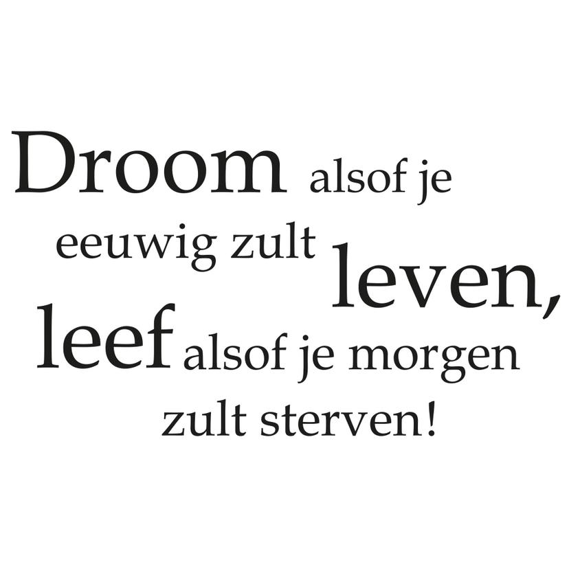 Wandtattoo Droom alsof je...