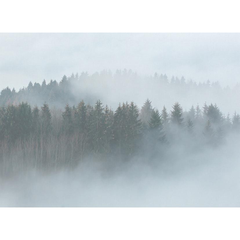 Livingwalls Fotomurale Designwalls -  Misty Forest