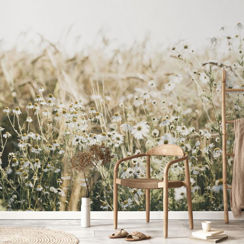 Natur fototapet sommer eng med kamille - Annie