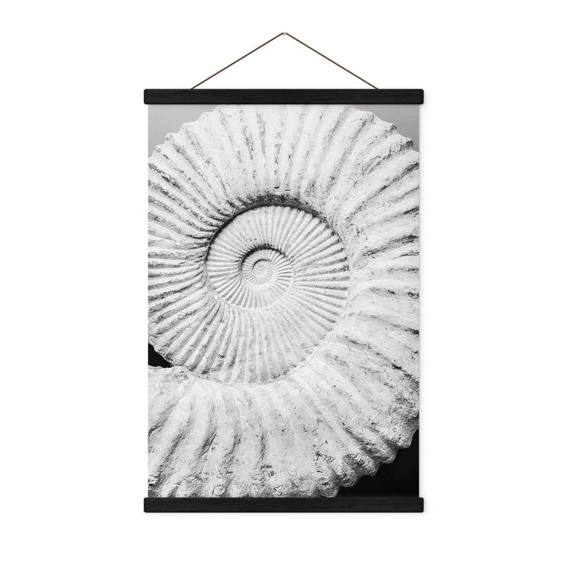 Tekstil plakat Fossil muslingeskal - Shot-by-Clint