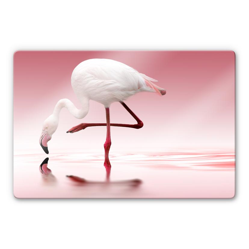 Tableau sur verre Reindl - Pink Flamingo