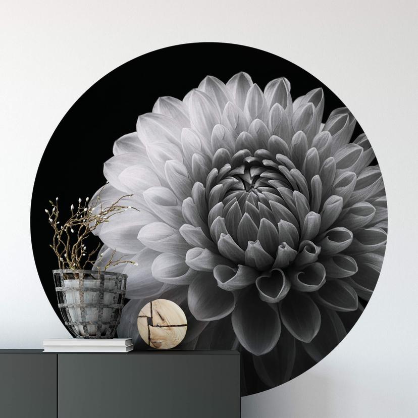 Fototapet - Rundt Grønkjær - Dahlia - vliesetapet/selvklæbende non-woven tapet