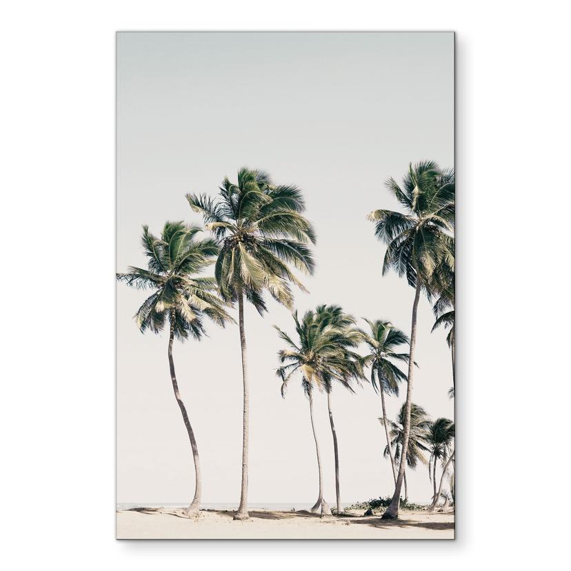 Tropiske palmer på stranden - Sisi & Seb – print på aluminium (Alu-Dibond)