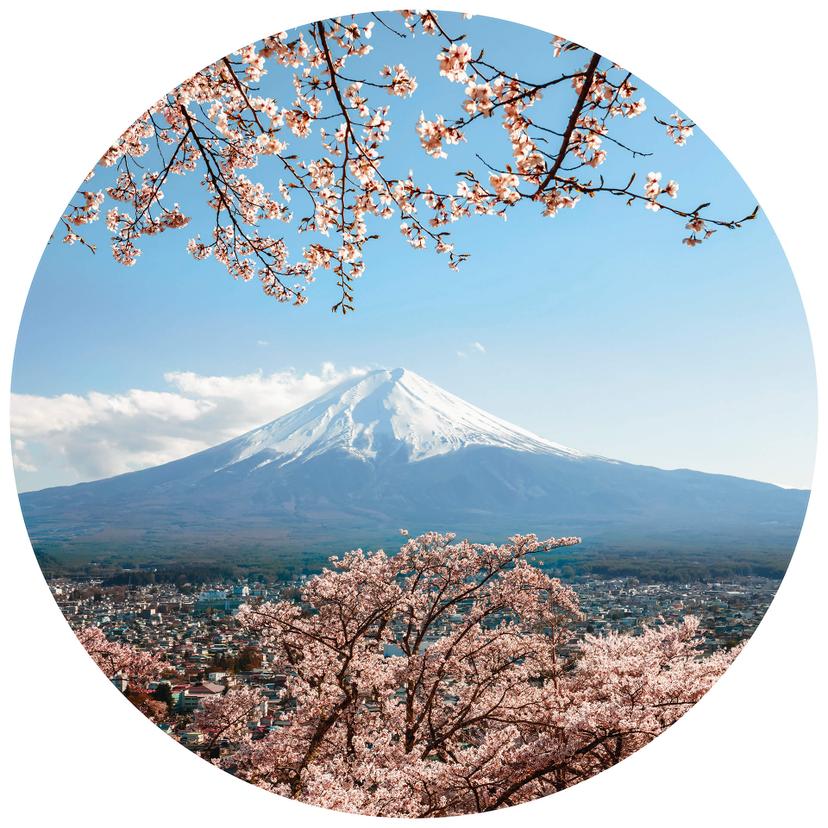 Fotomurale Colombo - Mount Fuji in Japan - tondo - carta da parati in tessuto non tessuto/carta da p