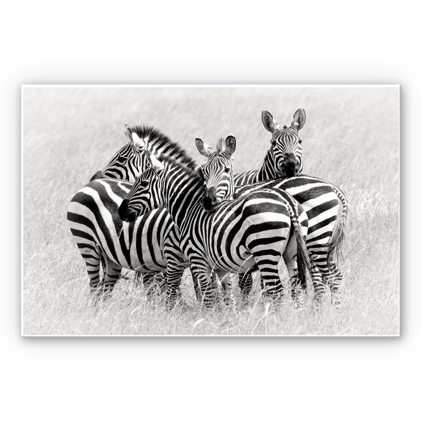 Tableau Forex - Trubitsyn - Zèbres dans la savane