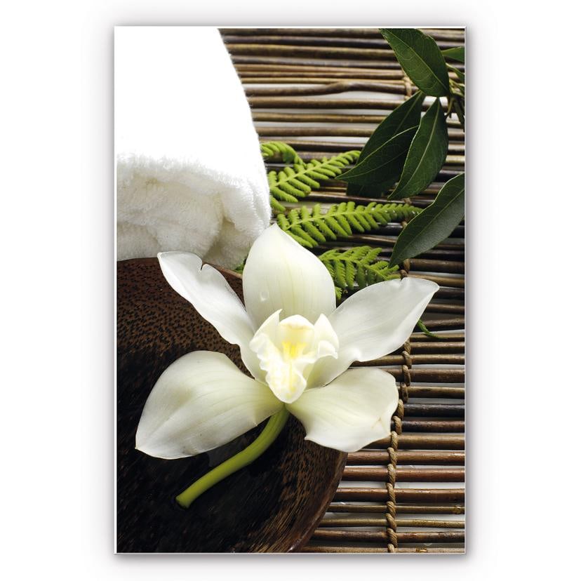 Tableau Forex - Wellness Orchidee