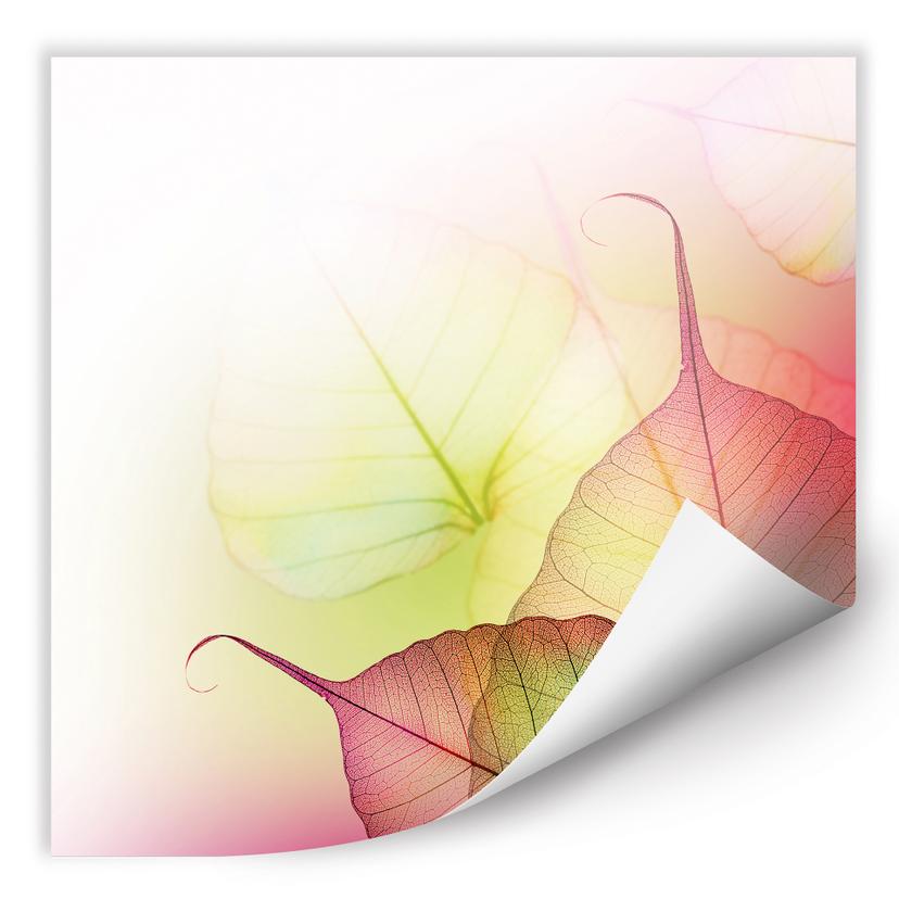 Poster autocollant - W - Pink Design