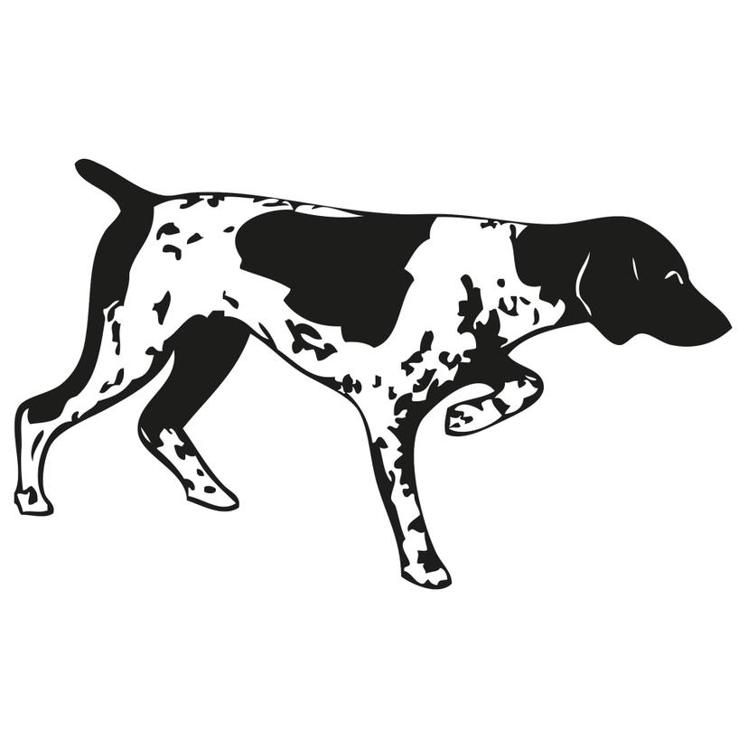 Cane da caccia 2