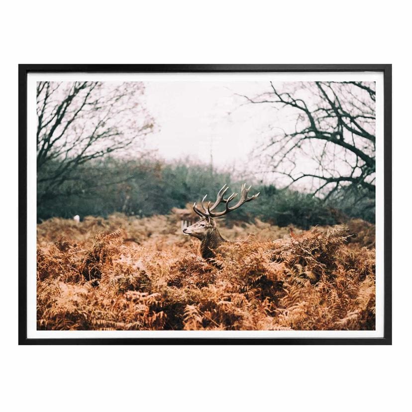 Póster En el bosque