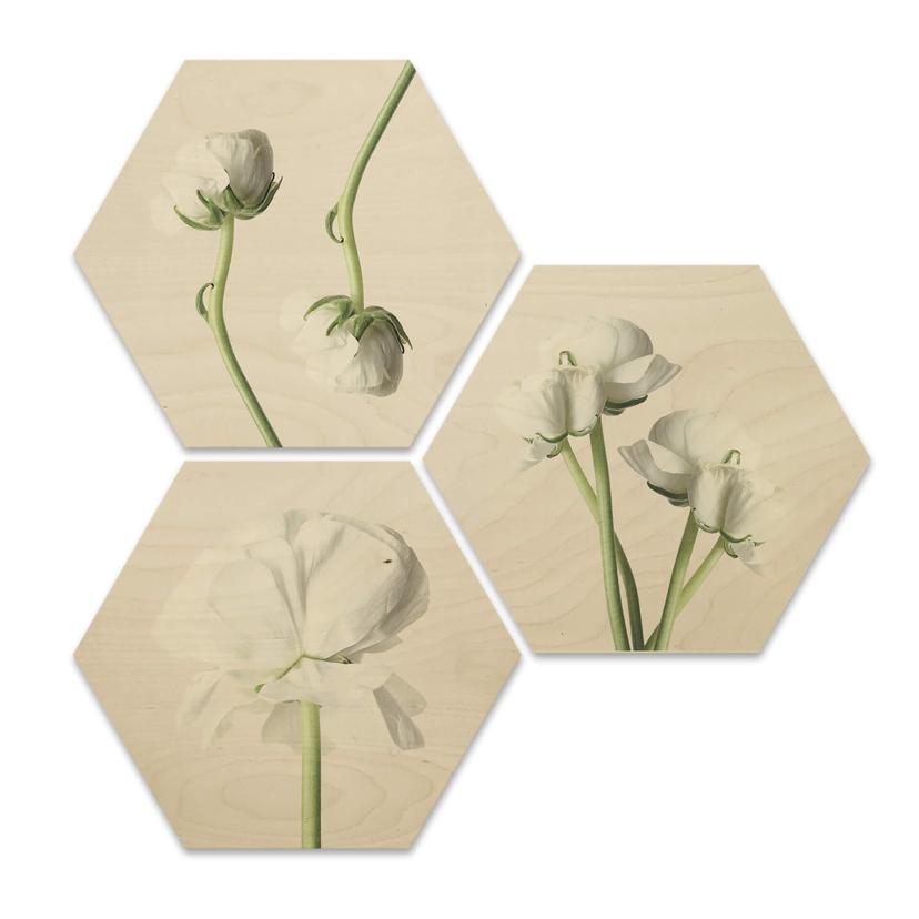 Hexagon hout - Ranonkels