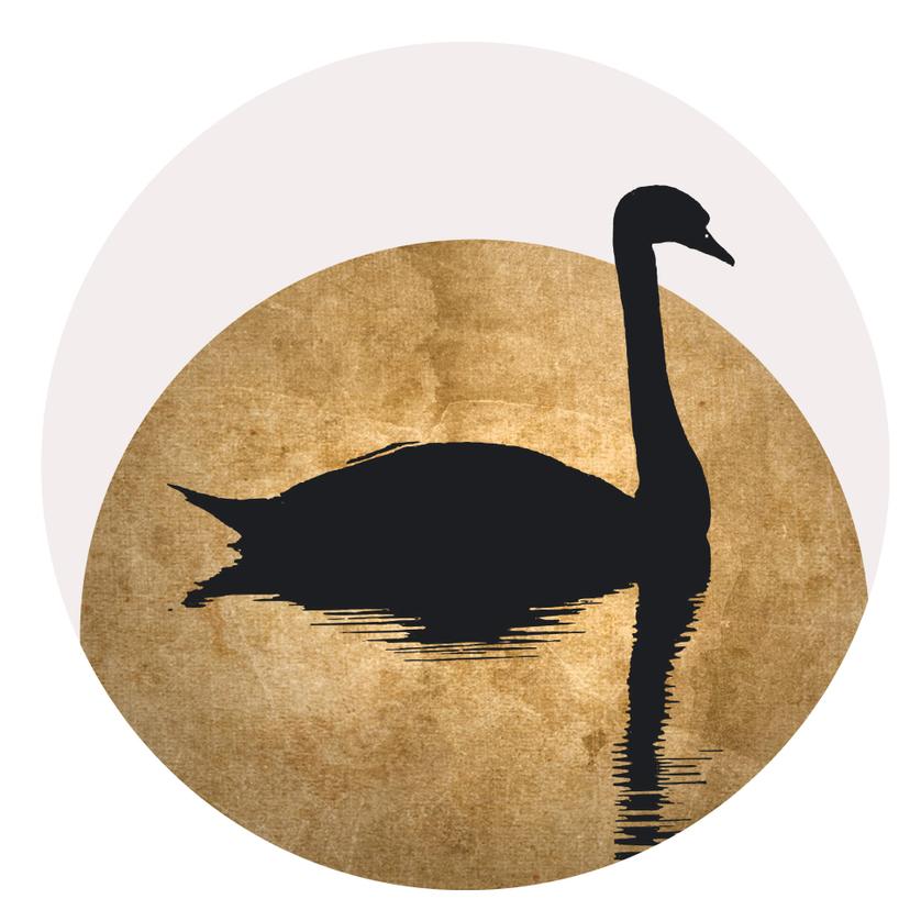 Adesivo murale Kubistika - Cigno