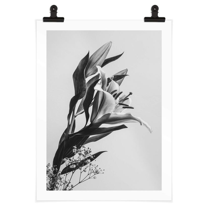 Póster Jo - Lirio encantador en blanco y negro