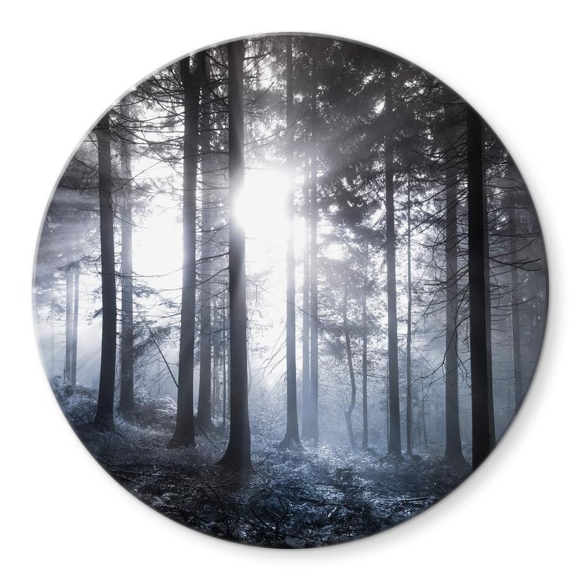 Tableau sur verre  Rayons de soleil dans la forêt bleue - Rond