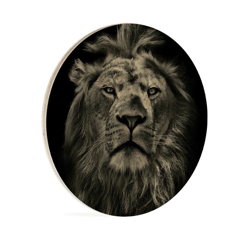Cuadro de madera León - Redondo