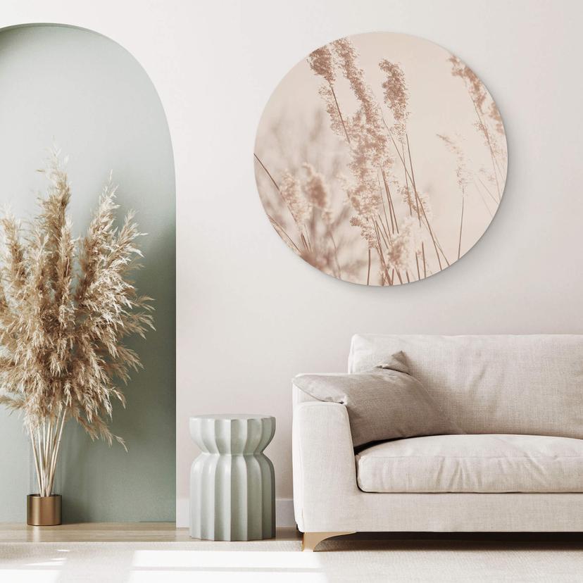 Tableau en alu-Dibond Graminées au soleil - Rond
