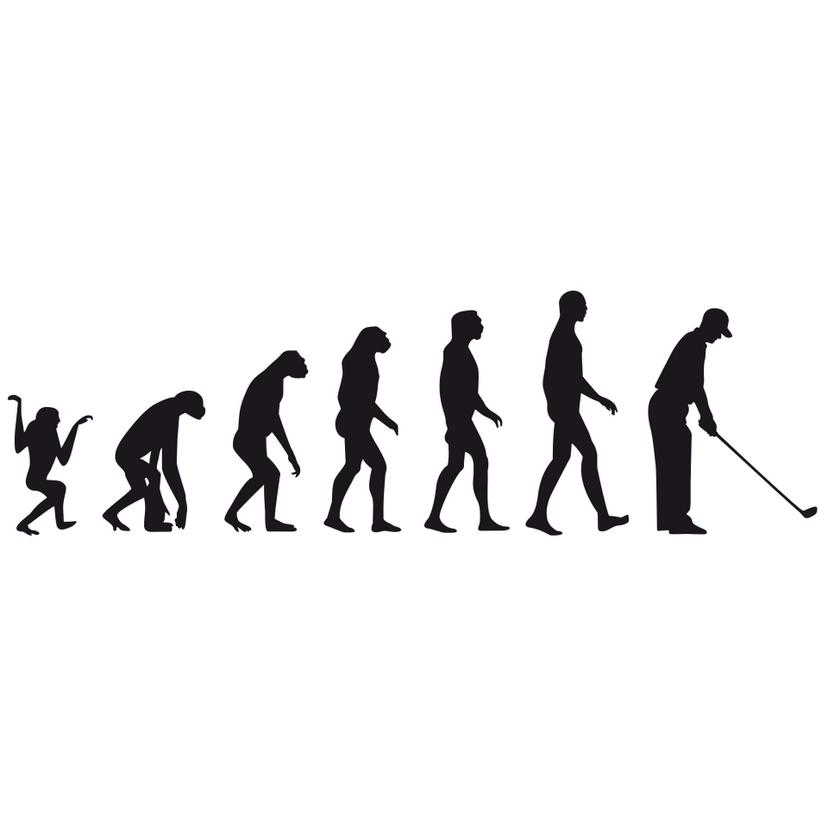 Sticker mural - Théorie de l'évolution avec le golf