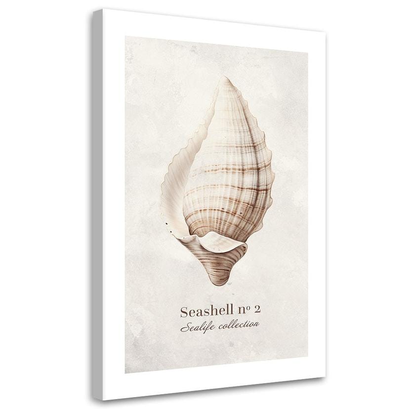 Canvasbillede, Muslingeskal på naturlig baggrund
