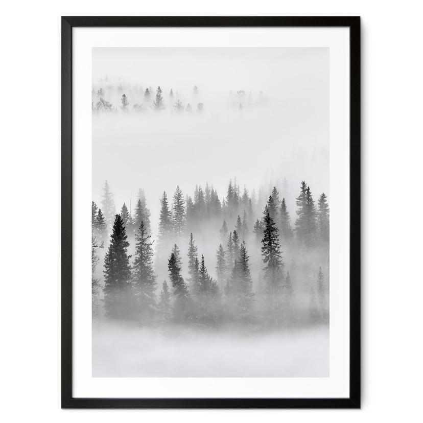Plakat Xu - Foggy Forest