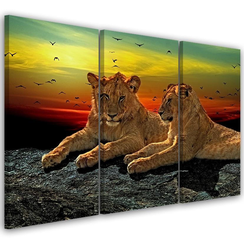 3 stykke lærredsprint, Lions Wilderness Africa Nature