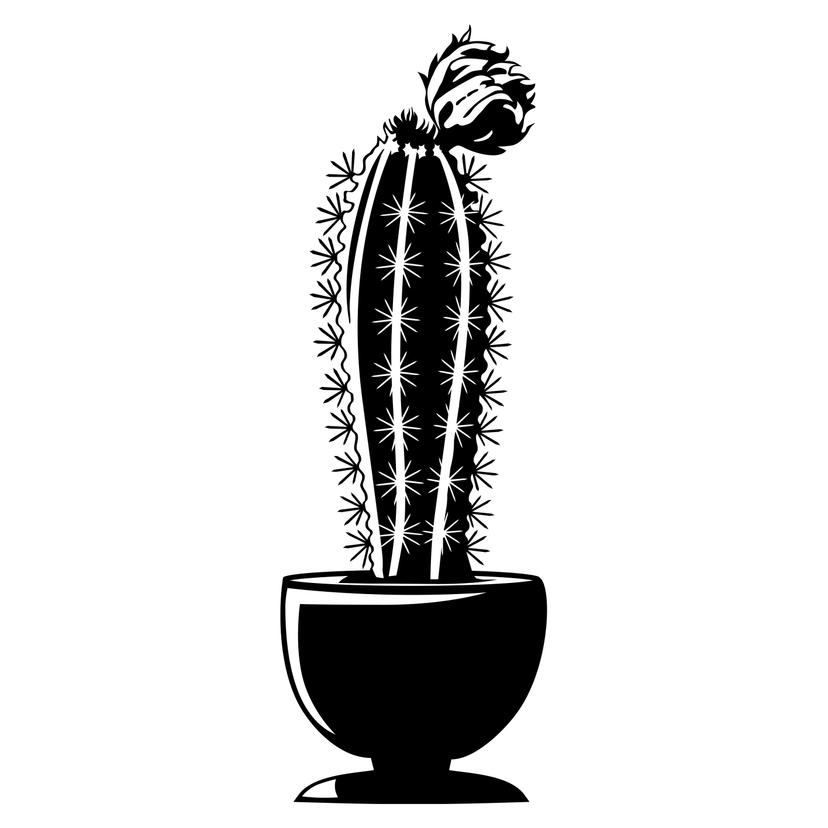 Adesivo murale - Cactus 2