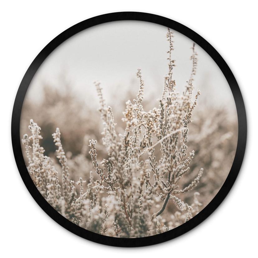 Plakat Annie - Grass