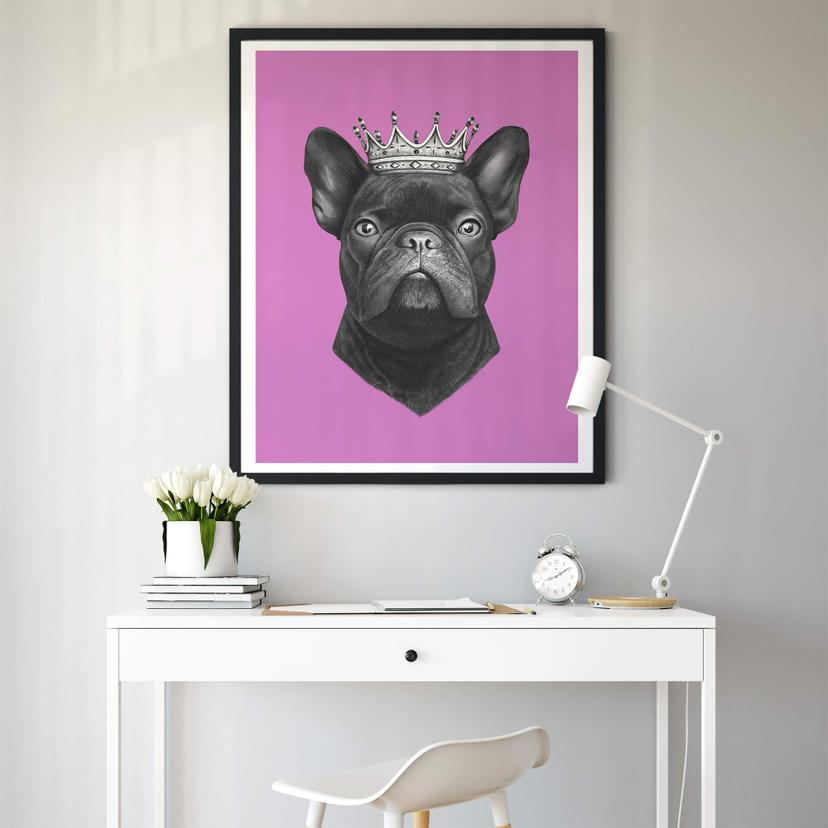 Poster Korenkova - King fransk bulldogg rosa