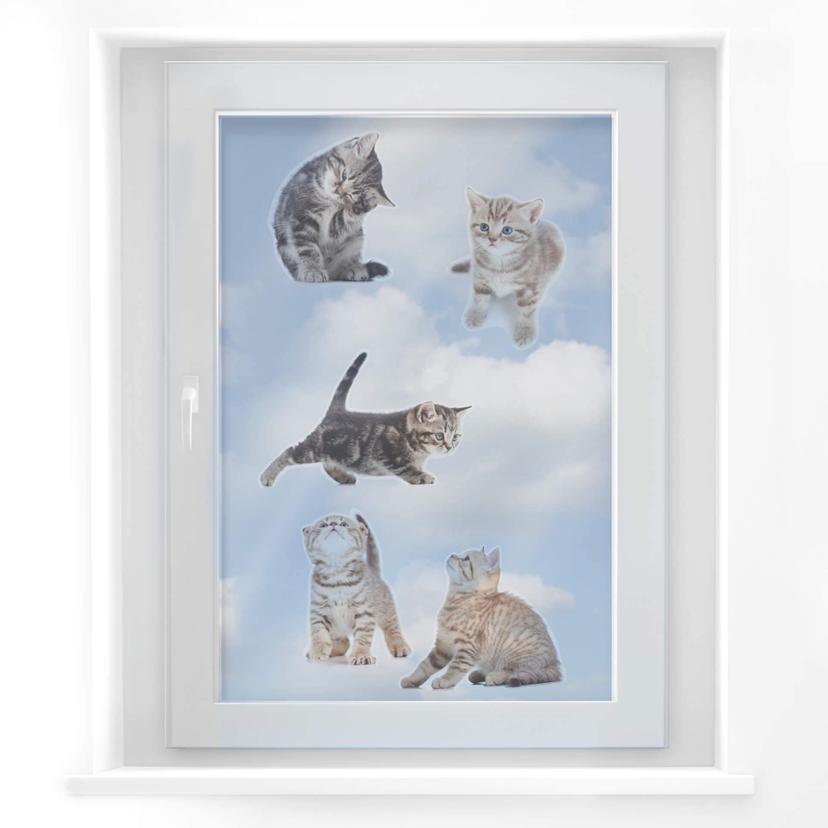 Cuadro de ventana Gatos bebé reales Set 03