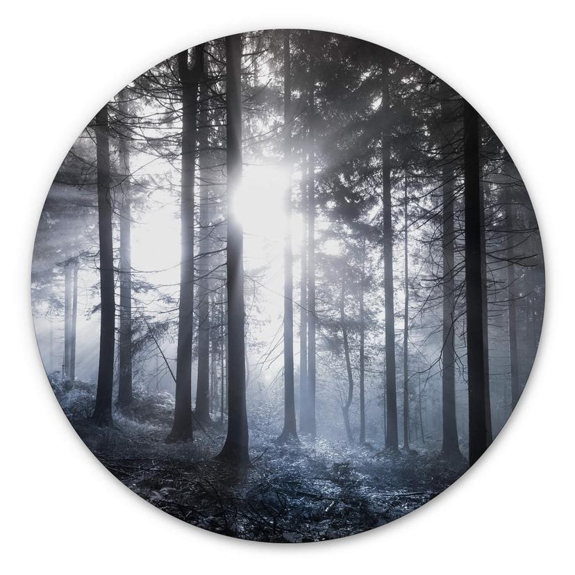 Tableau en alu-Dibond Rayons de soleil dans la forêt bleue - Rond