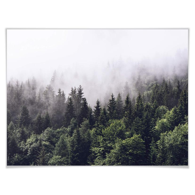 Poster dimmig skog