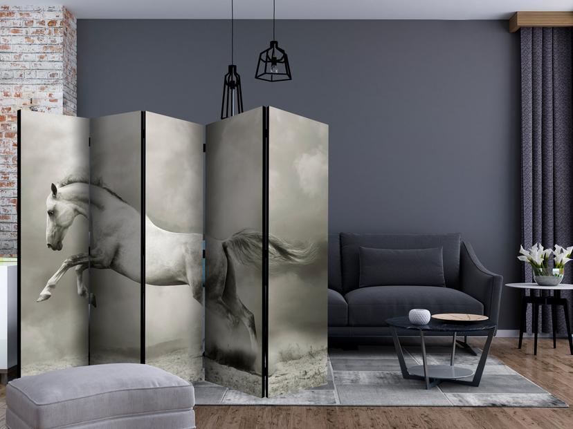 Schermo divisorio - Cavallo selvaggio , 5 pezzi - 225x172 cm