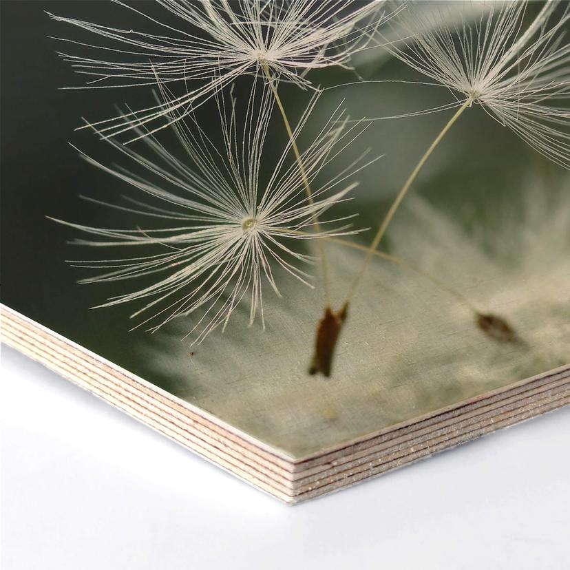 Esagoni in legno Delgado - Dente di leone