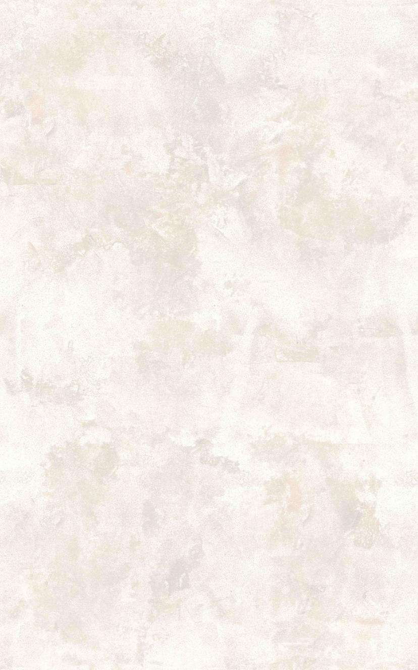 Papier peint photo papier peint uni aspect plâtre gris beige à texture douce 3,4 x 2,12 m