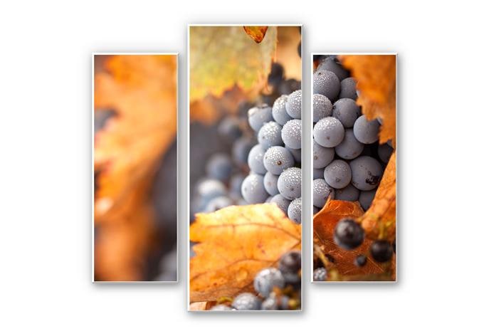 Tableau Forex - Le vin d'automne - (3 parties)