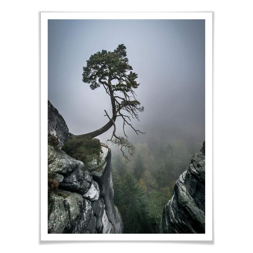 Poster Wonisch - Forza della natura