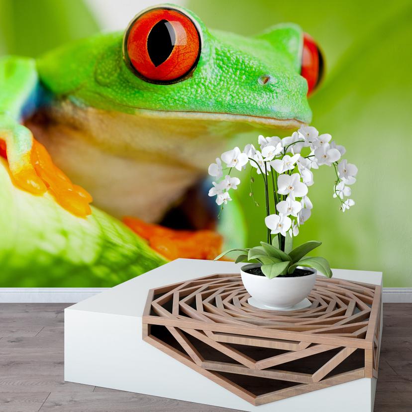 Papier peint photo - Grenouille
