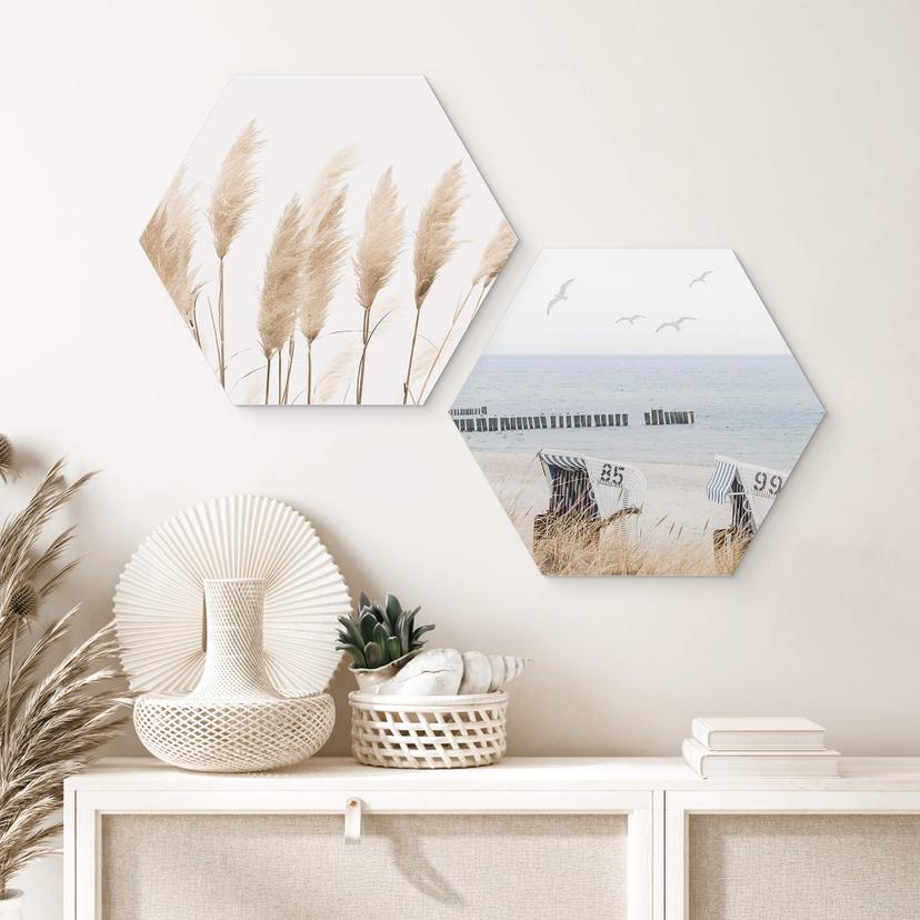 Hexagon Dibond Kustmagie langs wilde duinen